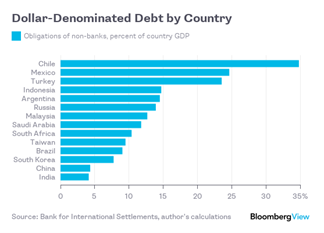 5 Dollar Denominated Debt.png