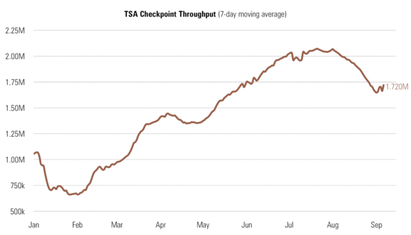 4 TSA.png