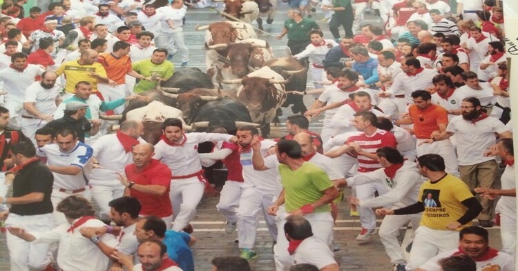 Running with the Bulls.jpg