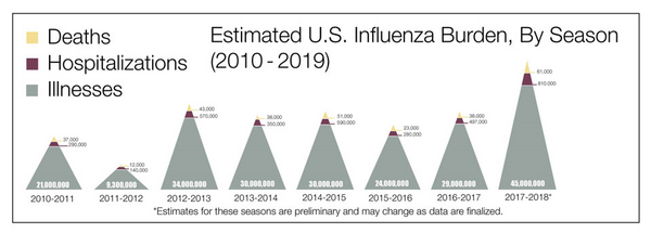 5 Flu Burden CDC.png