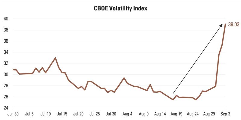 2 VIX 1.jpg